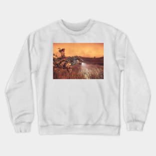 Horizon Crewneck Sweatshirt